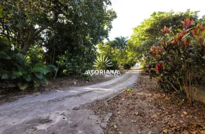 Terreno à venda na Servidão Placido Ferreira da Rocha, 115, Campeche, Florianópolis