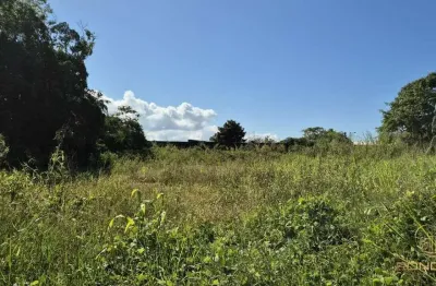 Terreno à venda no Bougainvillee V, Peruíbe 