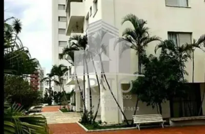 Apartamento para alugar em santana com 02 dormitórios, 02 banheiros, sala ampla (estar e jantar), sacada, cozinha e lavanderia