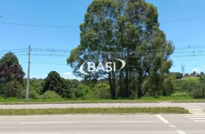 Seu negocio em destaque: terreno de alto potencial na estrada da ribeira!