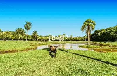 Chácara / sítio com 3 quartos à venda na Rua José Rompkowski, 105, Ferraria, Campo Largo