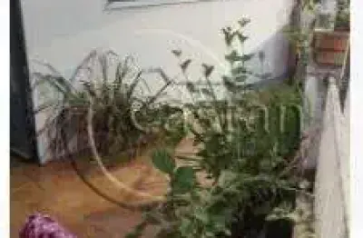 Casa com 5 quartos à venda na rua ouricuri, --, vila formosa, são paulo, 127 m2 por r$ 370.000