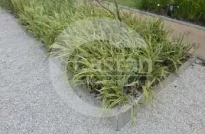 Apartamento com 1 quarto à venda na rua fernando falcão, --, mooca, são paulo, 25 m2 por r$ 299.000