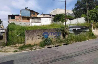 Terreno à venda, 259 m² - cidade parque alvorada - guarulhos/sp