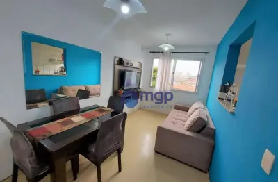 Apartamento com 2 dormitórios à venda, 52 m² - vila basileia
