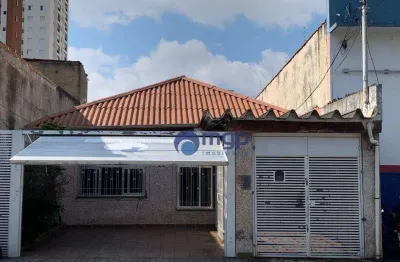 Casa com 5 dormitórios à venda, 500 m² - vila maria