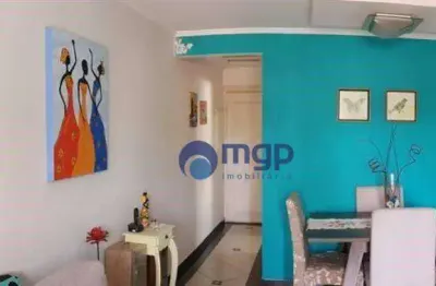 Apartamento com 3 dormitórios à venda, 72 m² - vila gustavo - são paulo/sp