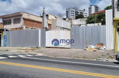Terreno à venda na Avenida das Cerejeiras, 130, Vila Maria, São Paulo