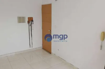 Apartamento de 2 quartos à venda no belenzinho - 58 m² - são paulo/sp