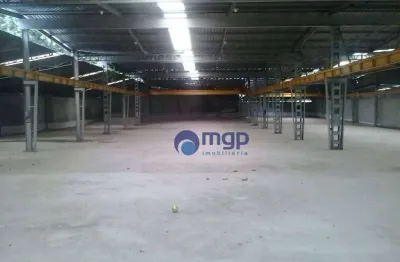 Galpão grande à venda na vila jaraguá - 2.800 m² - são paulo/sp