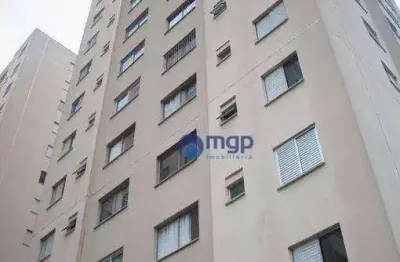 Apartamento com 2 quartos, à venda no brás - 64 m² - são paulo/sp