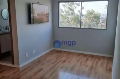 Apartamento com 2 quartos, à venda no jardim andaraí - 50 m² - são paulo/sp