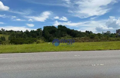 Terreno à venda às margens da rodovia pres. castelo branco - 50.000 m² - são roque/sp