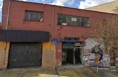 Terreno amplo, à venda na vila gustavo - 367 m² - são paulo/sp