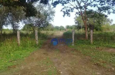 Fazenda à venda em são felix do araguaia - 250 hectares - são felix do araguaia/mt