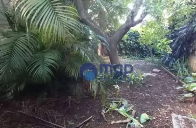 Terreno à venda na vila ede - 192 m² - são paulo/sp
