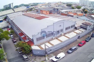 Galpão à venda, 3650 m² - vila guilherme - são paulo/sp