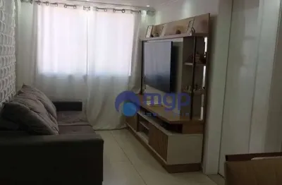 Apartamento com 2 quartos, à venda no jardim silvestre - 50 m² - guarulhos/sp