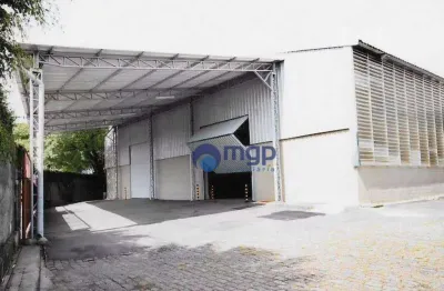 Galpão para alugar - parque novo mundo - são paulo/sp