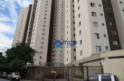Aparamento com 3 quartos, à venda no parque novo mundo - 80 m² - são paulo/sp