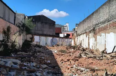 Terreno para locação no parque novo mundo - 400 m² - são paulo/sp