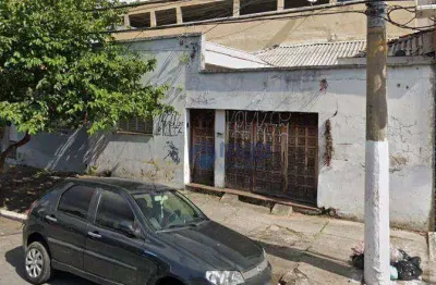 Terreno à venda, 100 m² - vila maria - são paulo/sp