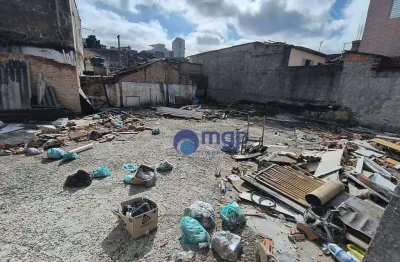 Terreno para alugar, 200 m² - vila maria alta - são paulo/sp