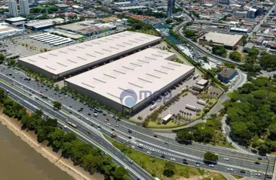 Barracão / Galpão / Depósito para alugar na Avenida Morvan Dias de Figueiredo, 3535, Vila Guilherme, São Paulo