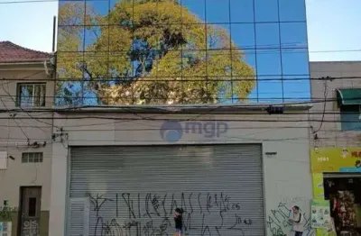 Prédio para alugar na Avenida Guilherme Cotching, 1055, Vila Maria, São Paulo