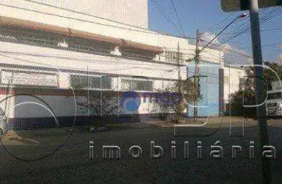 Salão comercial para locação, vila guilherme, são paulo - .