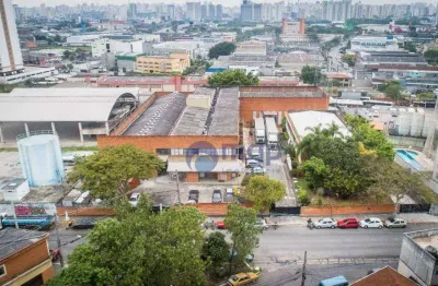 Galpão para alugar- vila siqueira (zona norte) - são paulo/sp