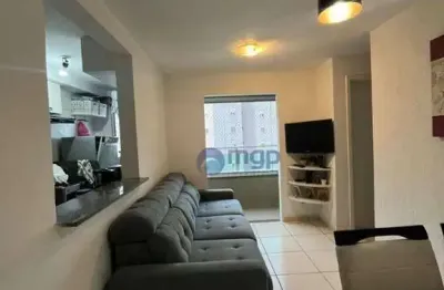 Apartamento com 3 quartos à venda, 55 m² - Parque Novo Mundo - São Paulo/SP