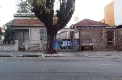 Terreno à venda, 560 m² por r$ 2.000.000,00 - vila maria - são paulo/sp