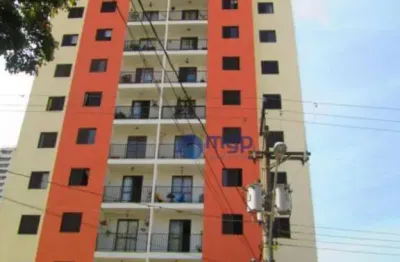 Apartamento com 3 dormitórios à venda, 75 m² - vila guilherme - são paulo/sp