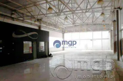 Terreno à venda, 1180 m² por r$ 17.000.000,00 - vila guilherme - são paulo/sp