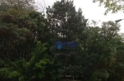 Terreno à venda na Rua do Horto, 775, Horto Florestal, São Paulo