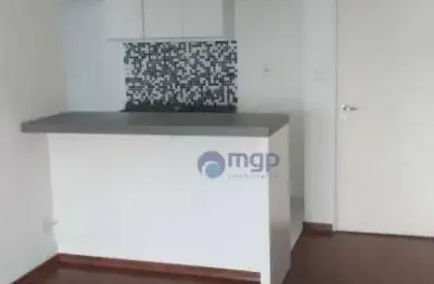 Apartamento com 3 dormitórios à venda, 1 vaga - vila maria