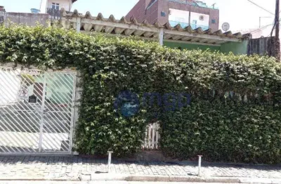 Terreno à venda, 333 m² por r$ 800.000,00 - vila constança - são paulo/sp