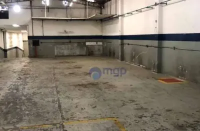 Galpão para locação na vila prudente - 600 m² - são paulo/sp