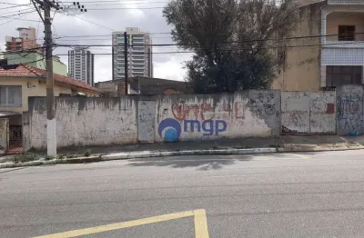 Terreno à venda, 800 m² por r$ 3.200.000,00 - vila guilherme - são paulo/sp