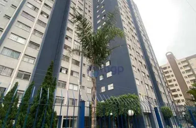 Apartamento com 2 quartos, 60 m² - venda ou aluguel - jardim andaraí - são paulo/sp