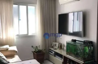 Apartamento com 3 dormitórios à venda, 98 m² por r$ 500.000,00 - parque mandaqui - são paulo/sp