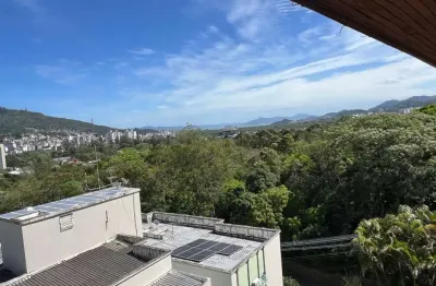 Apartamento com 2 quartos à venda na rua capitão américo, 52, córrego grande, florianópolis por r$ 800.000