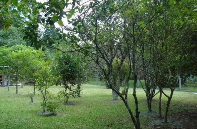 Casa com 4 quartos à venda na estrada manoel leôncio de souza brito, 140, vargem pequena, florianópolis por r$ 1.690.000
