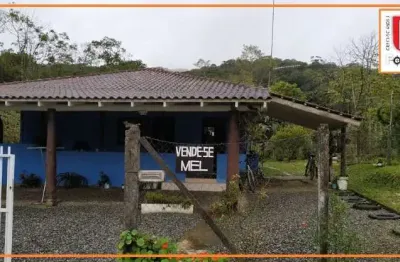 Chácara / sítio à venda na estrada água branca, 800, sai mirim, itapoá, 3395 m2 por r$ 600.000