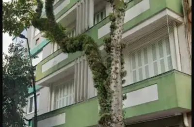 Apartamento 3 dormitórios à venda Centro Histórico Porto Alegre/RS