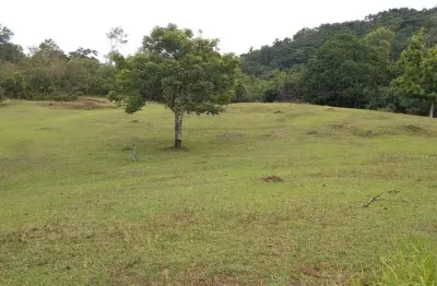 Terreno comercial à venda no testo salto, blumenau  por r$ 1.700.000
