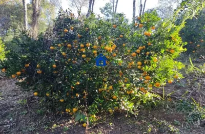Sítio / chácara para venda em campo magro, conceição da meia lua, 1 banheiro, 1 vaga