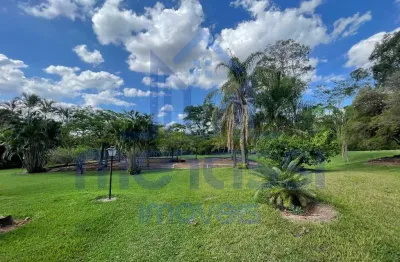 Excelente Fazenda para cultivo de Cana-de-açucar na Regiao de Ribeirão Preto!