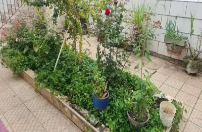 Terreno à venda na Rua São Ladislau, 103, Limão, São Paulo